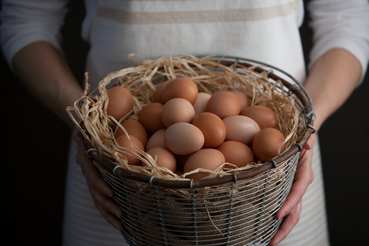 卵巢储备功能低到底意味着什么？