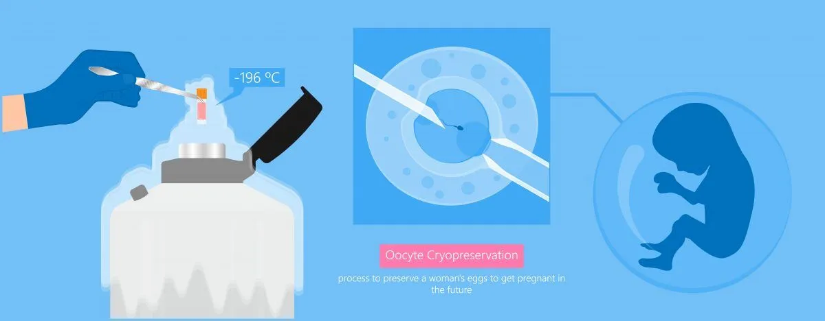 冷冻胚胎移植成功率
