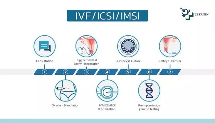 IVF试管生殖/ICSI单精子注射
