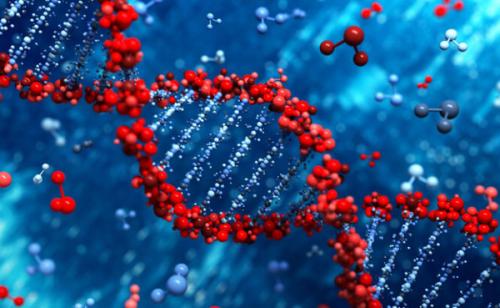 研究显示大多数美国人希望医生解释基因检测结果