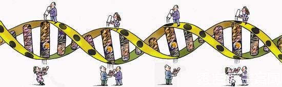 遗传病基本知识