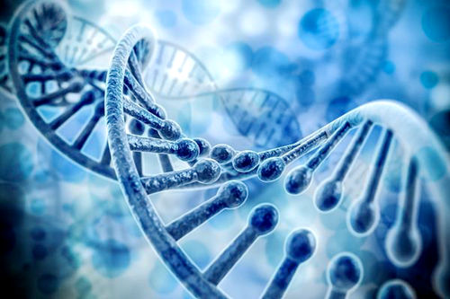 基因可能能解开皮肤老化的奥秘f