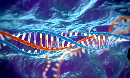 基因研究揭示犹太人散居