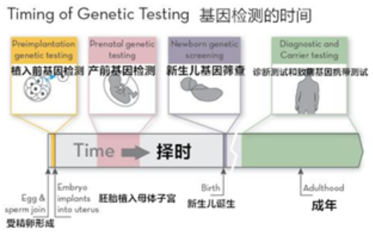 植入前基因检测技术的优势
