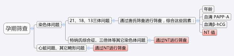 NT和早唐的意义