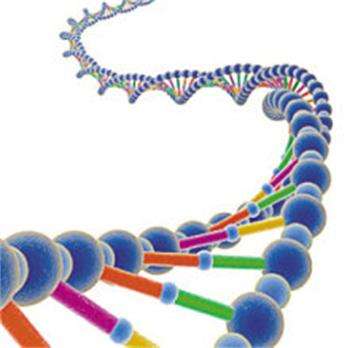 单基因遗传病染色体