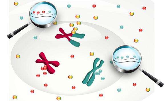 基因测试可能不会改变人们不健康的方式