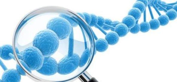 胚胎植入前基因检测