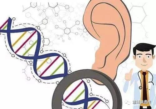 为什么会有莫名其妙发生的耳聋，怎么预防？耳聋基因检测解读