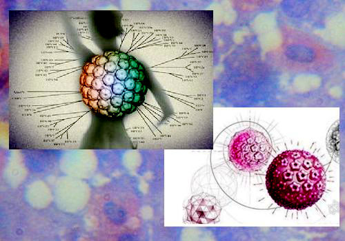 HPV病毒与皮肤癌有关