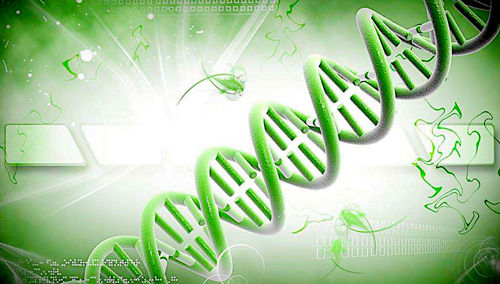 基因突变与克罗恩病的德系犹太人