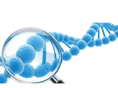 NKX6-2基因突变导致进行性肢体痉挛和小脑共济失