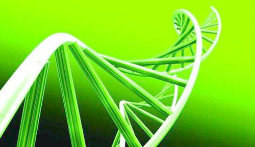 健康人的基因图谱不能准确地预测未来的健康