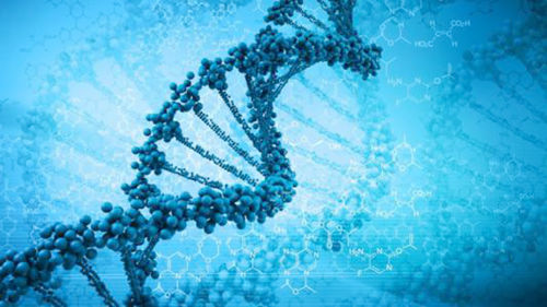 基因治疗可能对免疫罕见疾病有益