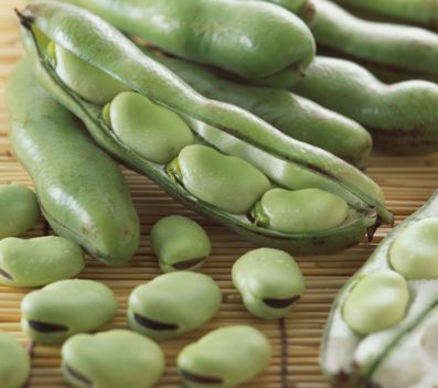 遗传性葡萄糖-6-磷酸脱氢酶(G6PD)缺乏症