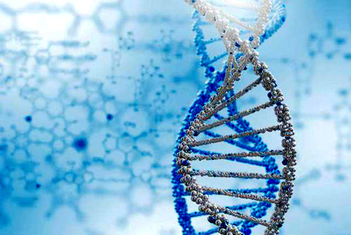 研究表明基因测试可以发现基因缺陷