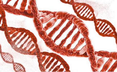 染色体异常遗传病 视网膜细胞瘤