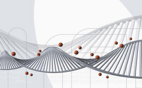 染色体异常遗传病 多发性骨髓瘤