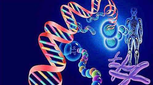 家庭生活方式对健康的影响和基因一样重要