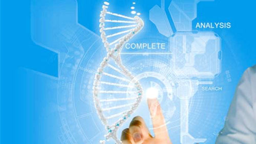 研究发现胎儿DNA检测也有助于Spot Mom的癌症