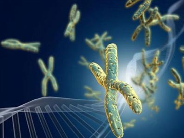 常见染色体异常遗传病 雅克布森综合症