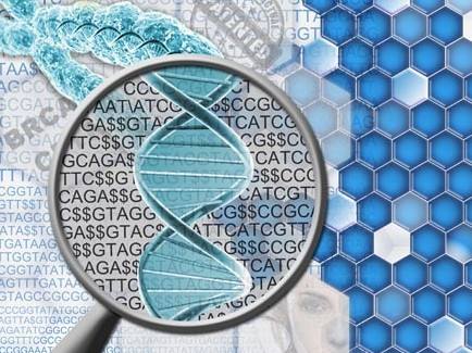 基因扫描有助于儿童神秘疾病诊断