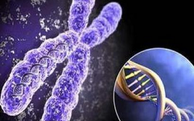 常见染色体异常遗传病 拉塞尔-西尔弗综合症