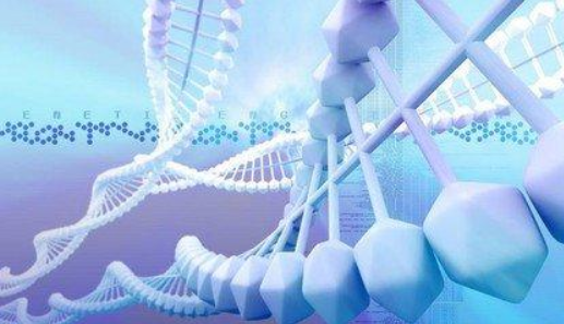 染色体异常遗传病 尤因肉瘤