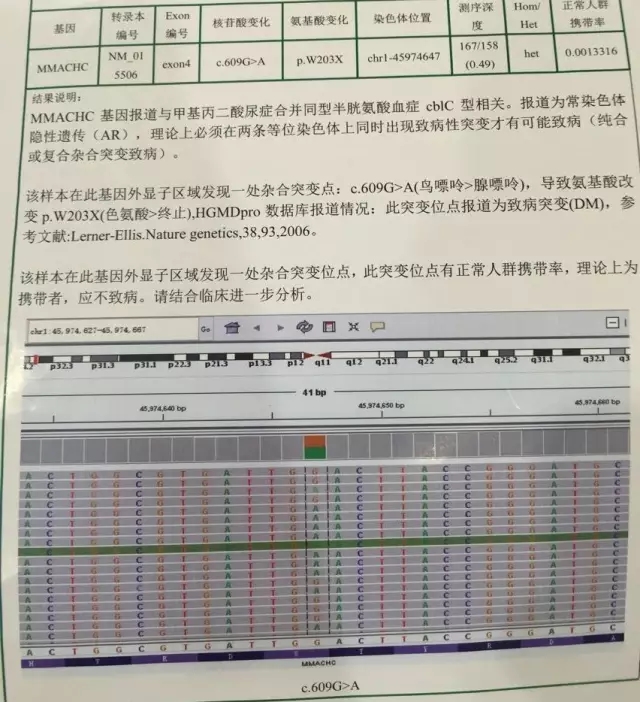 甲基丙二酸血症基因检测
