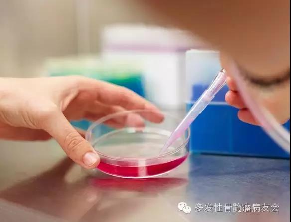 骨髓瘤想要活得好，需高度提防这4种并发症！