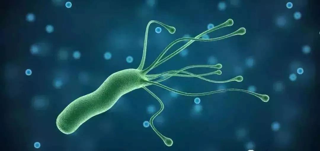 癌症到底会不会传染？