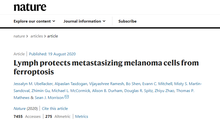 研究发现癌细胞在淋巴中比在血液中更容易存活并转移