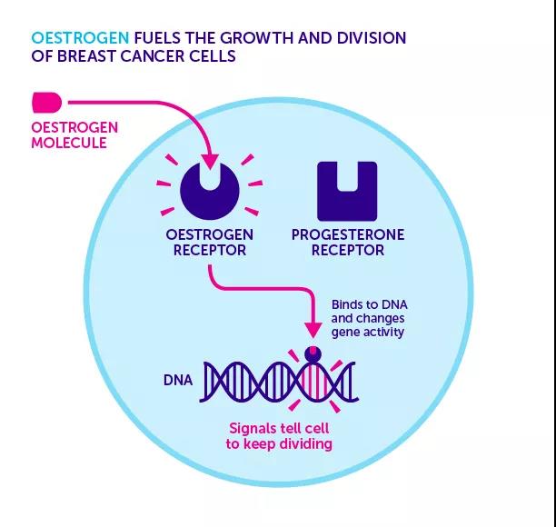 肿瘤患者能用化妆品吗？