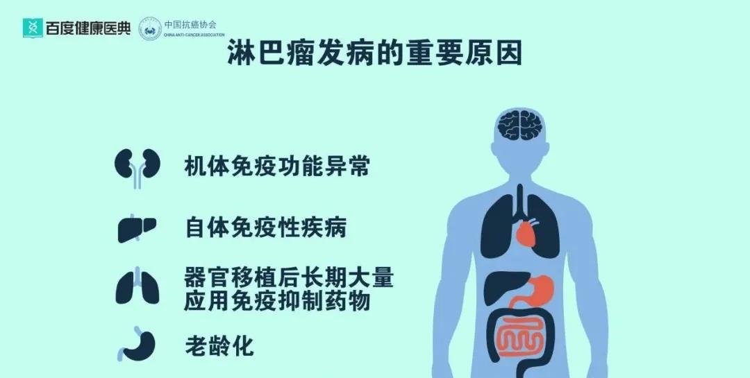 淋巴瘤会传染吗？