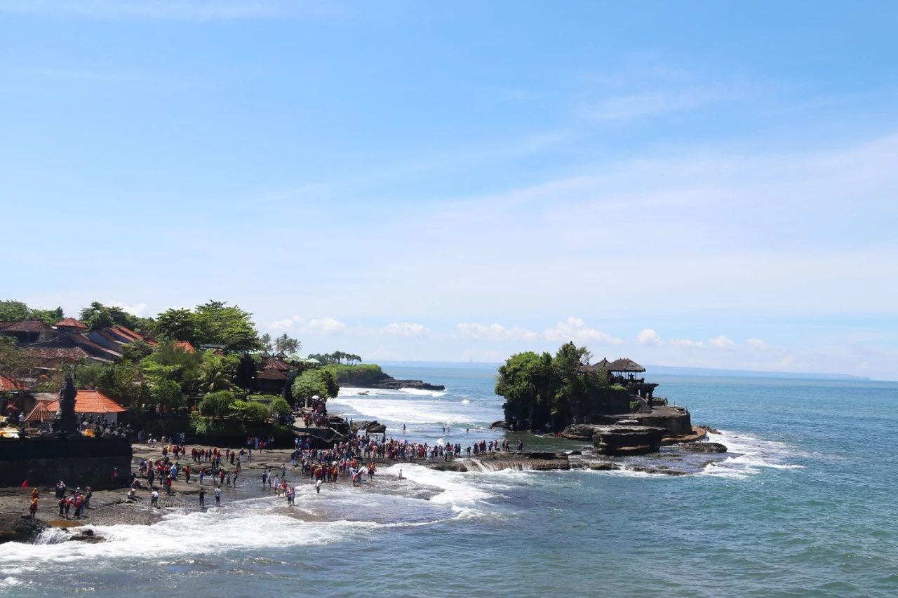 8年抗癌路   中药吊命