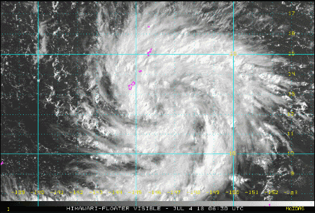 太平财险积极应对第7号台风“海高斯”