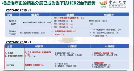 后曲妥时代抗HER2治疗策略