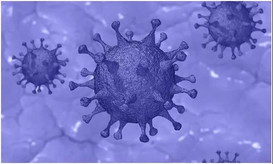 “细胞因子风暴”阻止新冠疾病患者产生持久的免疫反应