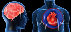 确认了！心脑血管疾病成人类健康的第一致命物！出现这6大症状十有八九是血管堵了