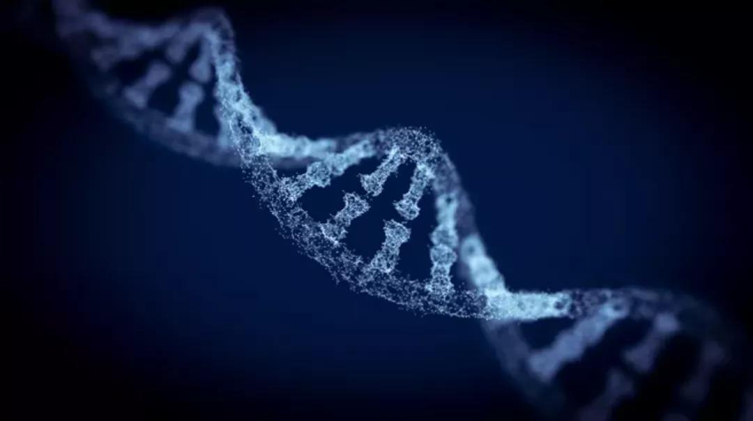 是里程碑还是大坑？FDA连开两次绿灯，表观遗传药物登上癌症治疗的中心舞台