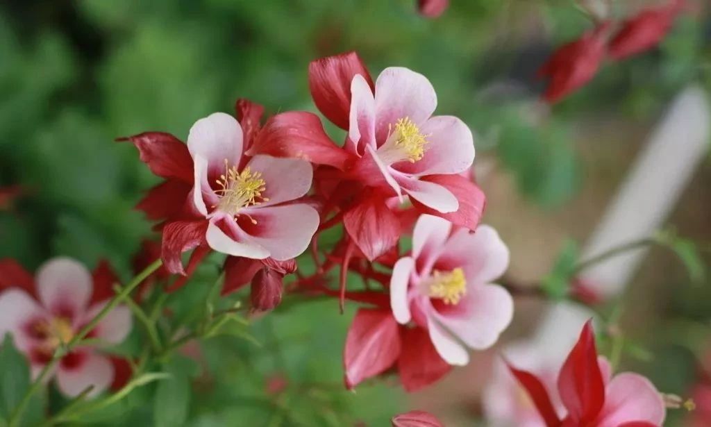 张春贤率队在宁夏开展慈善法执法检查时强调     依法促进慈善事业健康发展