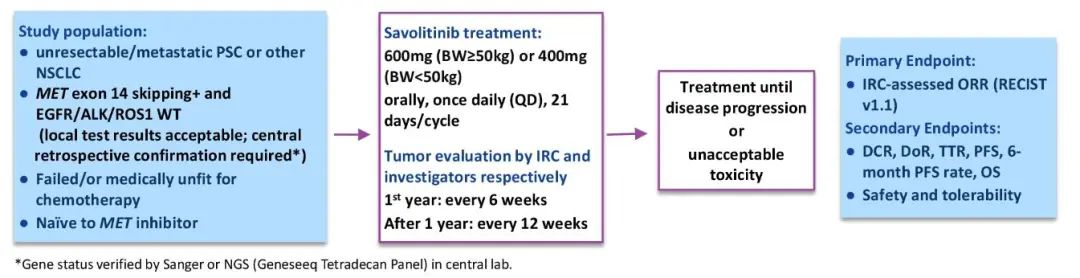 MET通路异常NSCLC最新研究进展与发展机遇