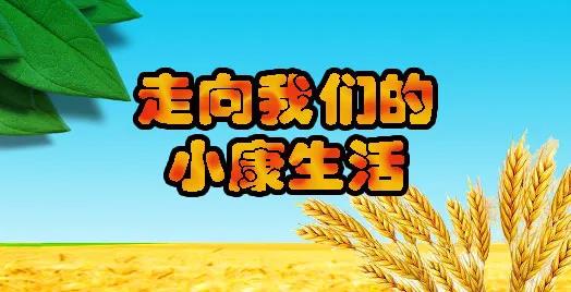 大同云州区：种下“发财花” 奔向小康路