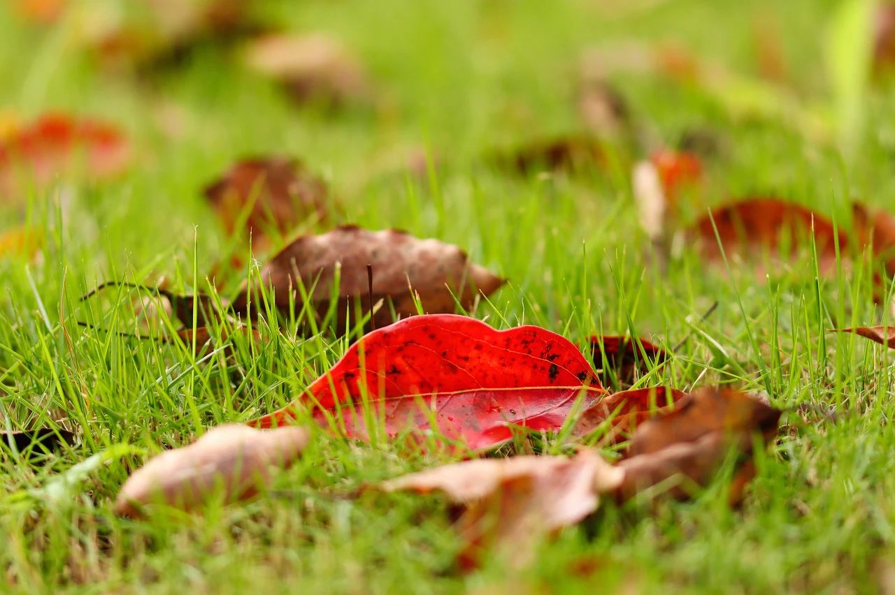 处暑时节在线养生