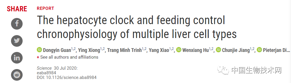 进食时间影响生物钟与代谢健康