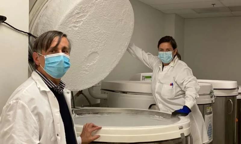 暴露于普通感冒冠状病毒可帮助免疫系统识别新冠病毒​