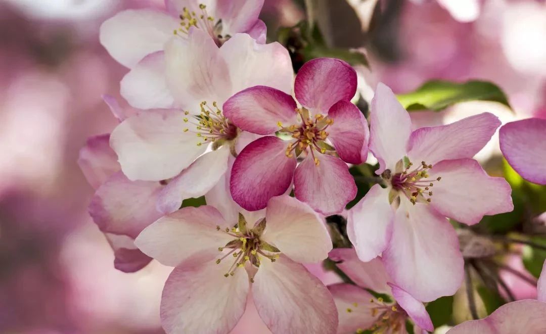 海南省慈善总会 组织文艺专家志愿团开展文化下乡活动