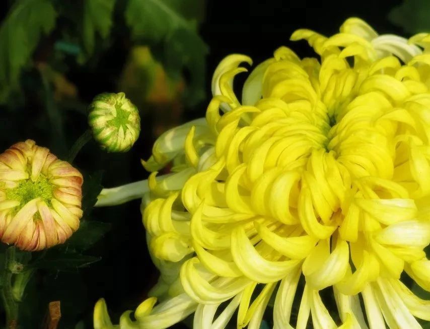 入了慈善门 永做慈善人    记杨凌示范区慈善协会老会长万为瑞