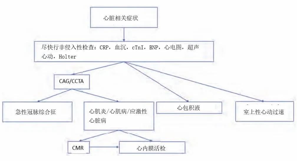致死率 50%！这个免疫治疗不良反应该如何诊治？