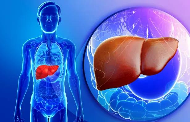 海绵状血管瘤知多少 看完这篇文章 你就都明白了